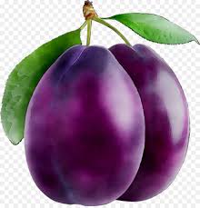 purple plum png free purple plum png transparent images 87196 pngio purple plum png transparent