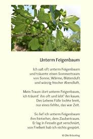 Unterm Feigenbaum Geschichtensammlung Feigenbaum Feigen Lustige Geschichten Fur Senioren