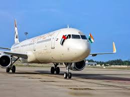 Image result for etihad airbus crash