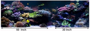 For use in freshwater and saltwater aquariums. Aesthetics Of Aquascaping Part I Reefs Com
