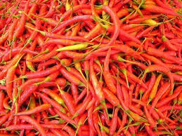 Has been at the forefront of design and the manufacture of spice grinding mechanisms sold the world over. You Can Grow Sili Vegetable Garden At Home