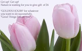 Good Morning Quotes Wallpaper Download Free Download Hd Desktop Wallpapers 1080p Pink Tulips Fresh Tulips Flower Wallpaper