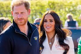 sussex dükü prens harry — Google Trends görseli