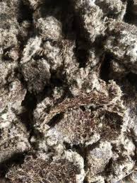 Raw Khal Binola Cotton Seed Cake, For Cattle Feed, Packaging Size: 25 Kg at  ₹ 1500/50 kilogram in Amritsar