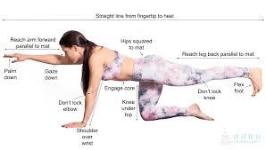 The Original Hatha Yoga Teacher Training Camp In A Box Level 1 Online Ga Aura Wellness Center Hatha Yoga Teacher Training Yoga Teacher Training Online Yoga Teacher Training