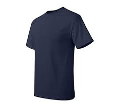 Hanes Short Sleeve Heavyweight T Shirt