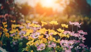 Grand rapids press obituaries and death notices for grand rapids michigan area. Funeral Home Terminology