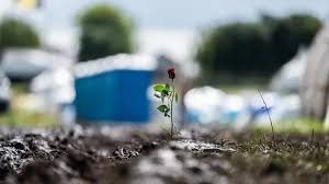 Wacken Open Air: Unwetterwarnung und Guns N' Roses trotzen dem Schlamm! - Imagen principal del artículo