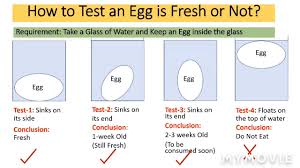 How to tell if eggs are off water test. Egg Freshness Test How To Test An Egg Is Fresh Or Not How To Know Egg Is Fresh Youtube