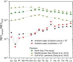 Rare earth element and yttrium behaviour during metabolic transfer and  biomineralisation in the marine bivalve Mytilus edulis: Evidence for a  (partially) biological origin of REY anomalies in mussel shells
