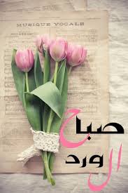 صباح الخير يا مصحصح يا عسل يا ورد متفتح.أنا أبي نهاري خير.قلت برقمك أتصبح. Ø£Ø¬Ù…Ù„ ØµÙˆØ± ØµØ¨Ø§Ø­ Ø§Ù„Ø®ÙŠØ± 2020 Hd Ø®Ù„ÙÙŠØ§Øª Ù…ÙƒØªÙˆØ¨ Ø¹Ù„ÙŠÙ‡Ø§ Ø¹Ø¨Ø§Ø±Ø§Øª ØµØ¨Ø§Ø­ÙŠØ© Ø¹Ù† Ø§Ù„ØµØ¨Ø§Ø­ Ù…ÙˆÙ‚Ø¹ Ø§Ù„Ù…ØµØ·Ø¨Ø©