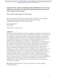 Image result for Vepris bremekampii