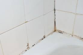How to get rid of mould in shower silicone? Get Rid Of Mold In Your Shower With Sniper Nokout Com