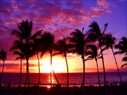 Use them in commercial designs under lifetime, perpetual & worldwide rights. Purple Sunset Wallpapers Top Free Purple Sunset Backgrounds Wallpaperaccess