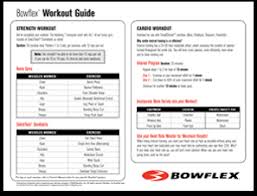 bench press workout online charts collection