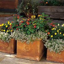 Caring potted plants is quite easy as its not focussed on an commercial aspect. How To Pot A Plant And Create A Container Garden This Old House
