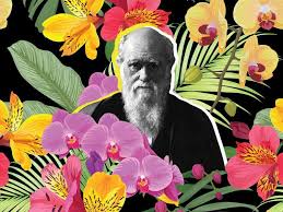 Check spelling or type a new query. How A Love Of Flowers Helped Charles Darwin Validate Natural Selection Science Smithsonian Magazine