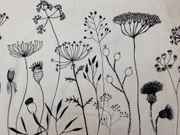 My Rose Valley Sharpie Art Botanical Drawings Flower Doodles