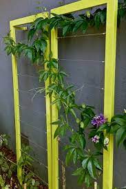 Di Vine Intervention The Sculptures Of Terratrellis Add Chic Support To Your Snap Peas And Mini Squash The Horticult Wall Trellis Trellis Plants Flower Trellis