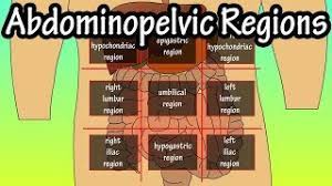 Anatomical terminology uses many unique terms, suffixes, and prefixes deriving from ancient greek and latin. Abdominopelvic Quadrants And Regions Abdominal Quadrants Youtube
