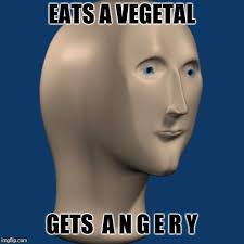 Meme Man Imgflip