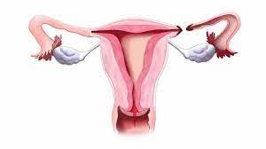 Sedangkan yang lain kelihatan adalah kaki. Nafsu Seksual Menurun Selepas Ikat Peranakan Benarkan Theasianparent Malaysia