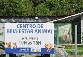 Ministério Público pede novos dados após denúncia de animais eutanasiados para liberar espaço em abrigo de SC