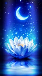 Wallpaper By Artist Unknown Scenery Wallpaper Flower Phone Wallpaper Beautiful Nature Wallpaper Female anime character with blue traditional dress, red eyes, purple hair standing near lotus flowers with moon on the background. pinterest
