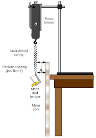 Simple Harmonic Motion Mass On A Spring Physics Experiments Physics And Mathematics Physics