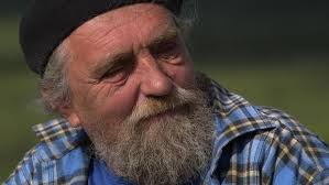 Nghiên cứu mới: Cứ thả động vật ăn cỏ chạy quanh Bắc Cực, ta sẽ cứu được  băng vĩnh cửu và hạn chế biến đổi khí hậu