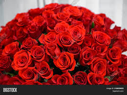 The perfect nasserq love flowers animated gif for your conversation. Background Many Red Image Photo Free Trial Bigstock