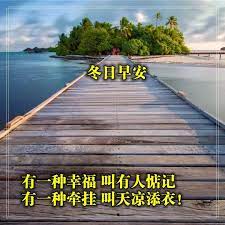 pin by li shu zhang on 早安in 2021 good morning greetings morning greeting good morning