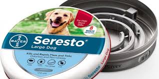 Maybe you would like to learn more about one of these? Amazon Reviewing Seresto Flea Collar Amid Reports Of Illnesses Deaths