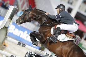 Ludger beerbaum (* 26.august 1963 in detmold) ist ein deutscher springreiter. Rolf Goran Bengtsson Archives Equilife World