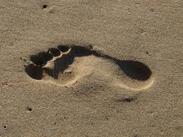 Use our footprint calculator to find out what your biggest areas of resource consumption are and your free access to our footprint calculator is made possible by the generous donations of other. Your Ecological Footprint Maropeng And Sterkfontein Caves Official Visitor Centres For The Cradle Of Humankind World Heritage Site