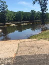 Lake bistineau state park is a state park in doyline. Lake Bistineau State Park Doyline Louisiana Us Parkadvisor