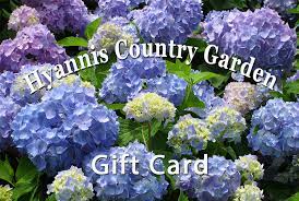 50 years and growing green. Gift Certificate Hyannis Country Garden