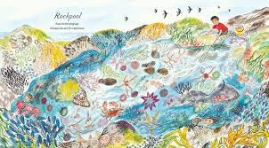 A First Book Of The Sea By Nicola Davies Illustrated By Emily Sutton 108 Pp Rl 3 Illustration Chapter Books Books