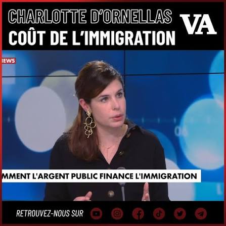 "Si les ONG ont des visées humanitaires indiscutables, elles ont également  des intérêts financiers à la poursuite de cette immigration illégale.",  Chronique de Face à l'info sur le financement public ...