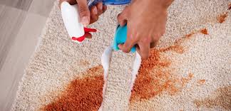 Comment Nettoyer Un Tapis Efficacement En 2020 Nettoyer Tapis Detachant Pour Tapis Nettoyer Moquette