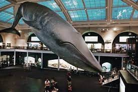 The Top 10 New York City Archaeology Tours W Prices