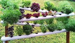 Pvc Tubes Upcycled Upcycle Art Hydroponics Diy Tower Garden Diy Vertical Garden Diy
