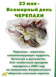 Все праздники, именины события, дни рождения 23 мая. Vsemirnyj Den Cherepahi 23 Maya Detskij Sad 44