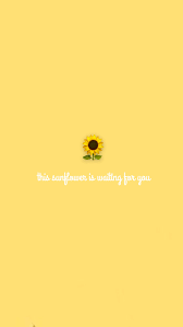 Sunflower Yellow Wallpaper Yellow Wallpaper Wallpaper Quotes Flower Wallpaper