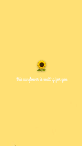 The combination of these colors reminds me of the rich. Sunflower Yellow Wallpaper Yellow Wallpaper Flower Wallpaper Aesthetic Wallpapers