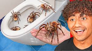 Crossy Road- Seoul Chicken- New Character