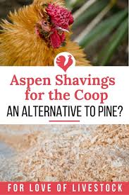 Pin On Chicken Coops Chicken Runs And Chicken Coop Bedding