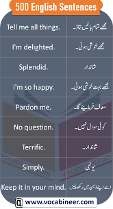 English Sentences With Urdu In 2020 English Vocabulary Words Learn English Words English Sentences