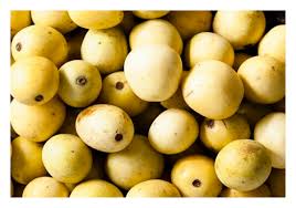 Image result for Sclerocarya birrea