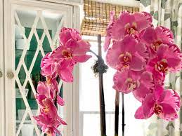 Delray beach homes for sale. Friends Of Faux Designers Embrace Fake ï¬‚owers The Spokesman Review